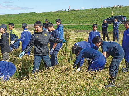 10月 農業体験（稲刈り）